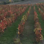 Antegiano 3*