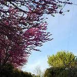 Bed and Breakfast Antegiano Belforte del Chienti
