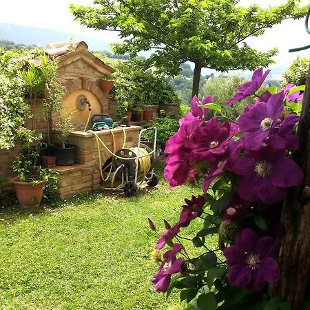 Antegiano Couette-café