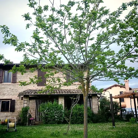 Bed and Breakfast Antegiano