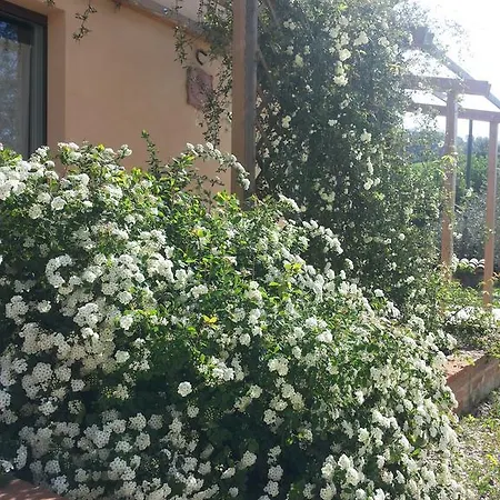 Antegiano Couette-café Belforte del Chienti