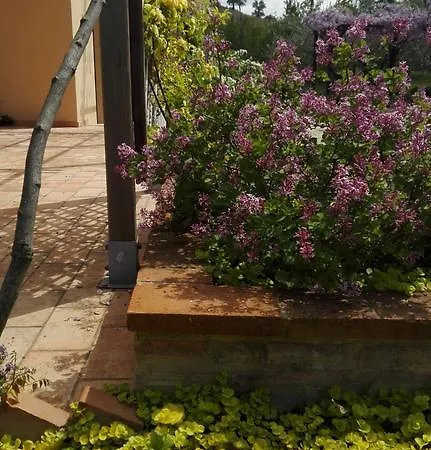 Antegiano Belforte del Chienti